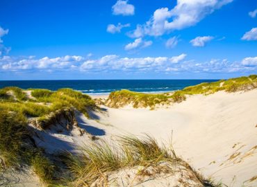 dune-2523909_1280-1024x682.jpg